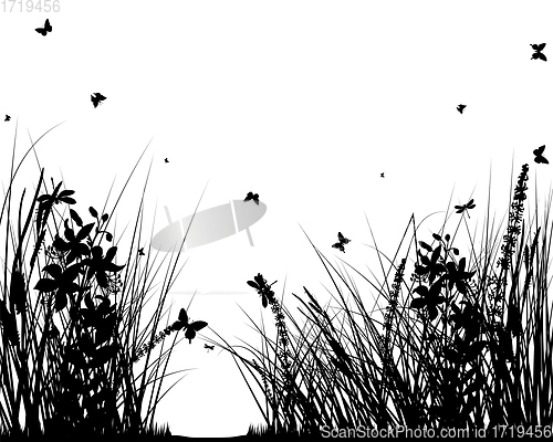 Image of Summer Meadow Background