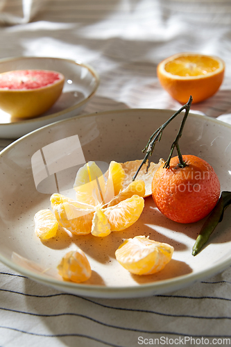 Image of still life with mandarins and grapefruit on plate