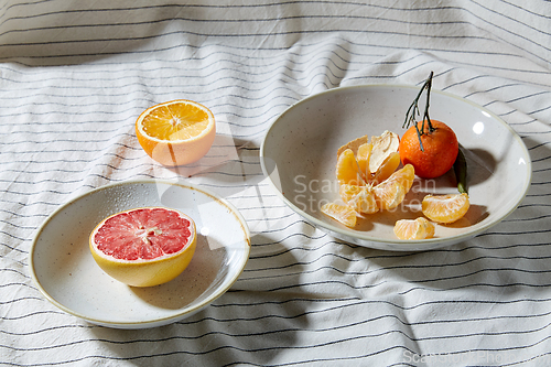 Image of still life with mandarins and grapefruit on plate