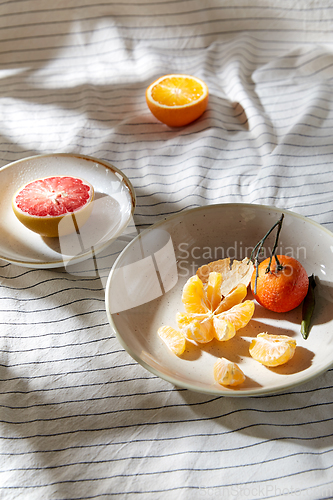 Image of still life with mandarins and grapefruit on plate