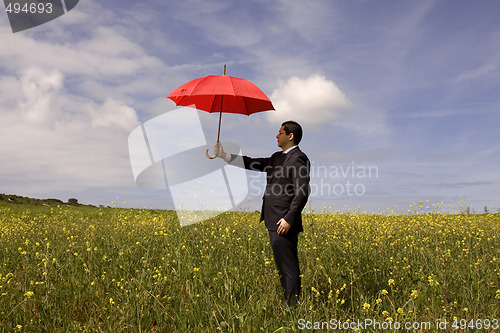 Image of Insurance agent