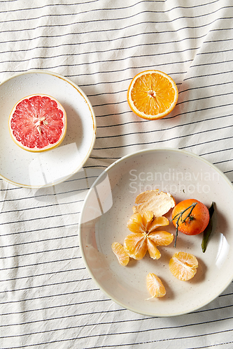 Image of still life with mandarins and grapefruit on plate