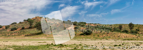 Image of Kalahari green landscape, South Africa