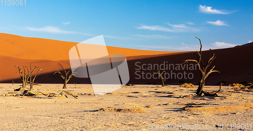 Image of Dead Vlei landscape in Sossusvlei, Namibia