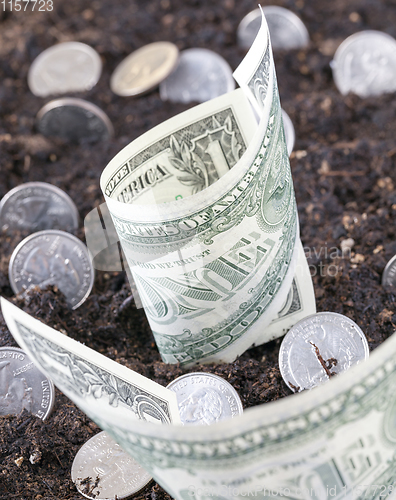 Image of American coins
