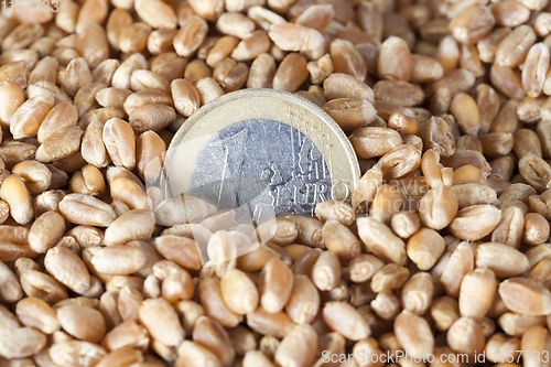 Image of one euro
