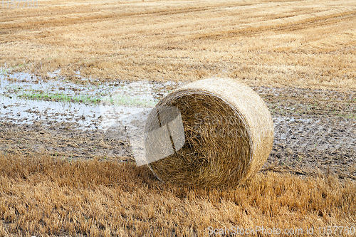 Image of stack of straw