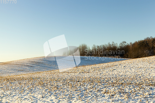 Image of Snow drifts