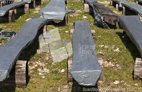 Image of wooden benches