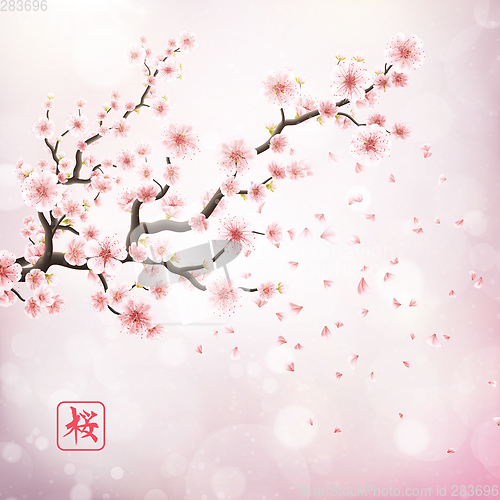Image of Pink sakura flowers isolated on white. EPS 10