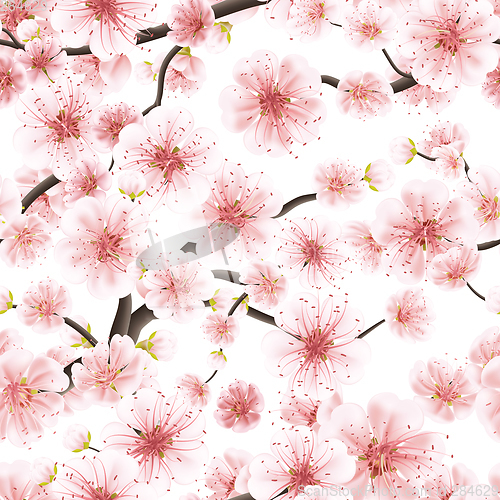 Image of Seamless pattern with Sakura. EPS 10