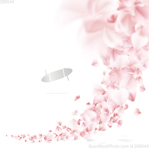 Image of Sakura flying petals. EPS 10