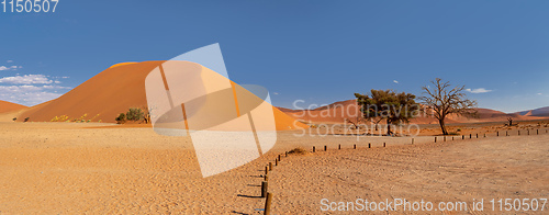Image of Dune 45 in Sossusvlei, Namibia desert