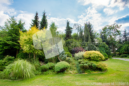Image of Beautiful colored summer garden