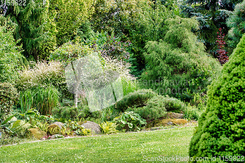Image of Beautiful colored summer garden