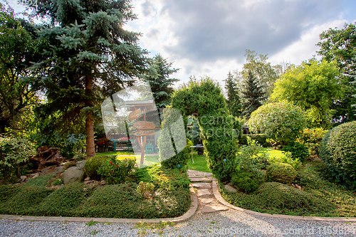 Image of Beautiful colored summer garden