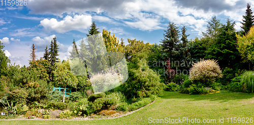 Image of Beautiful colored summer garden