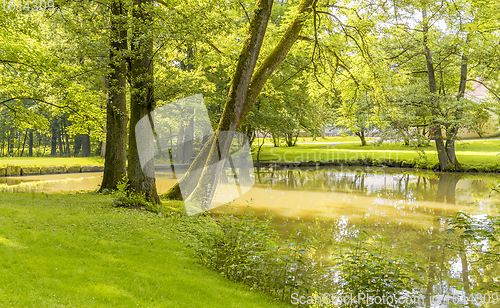 Image of idyllic park scenery