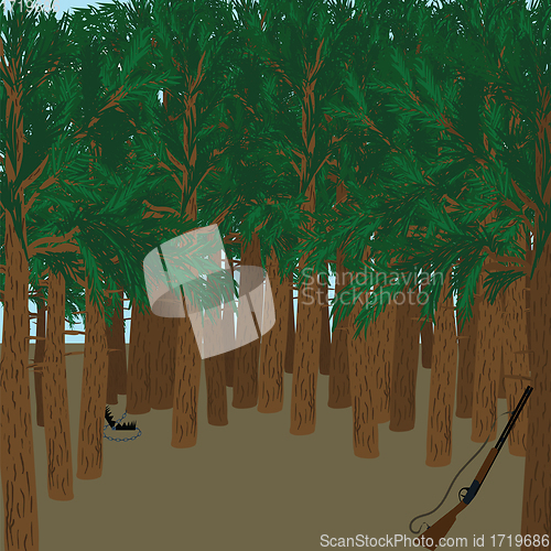Image of Hunting in fir forest