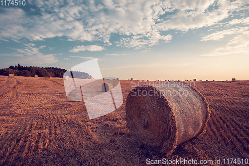 Image of harvested field with straw bales in summer
