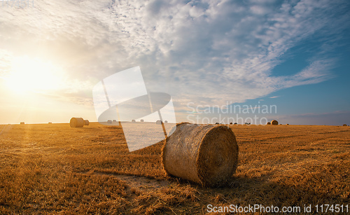 Image of harvested field with straw bales in summer