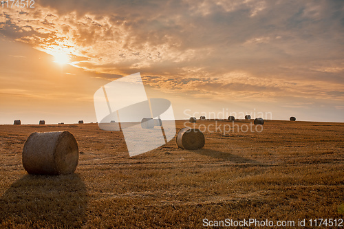 Image of harvested field with straw bales in summer