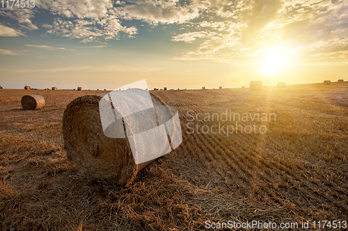 Image of harvested field with straw bales in summer