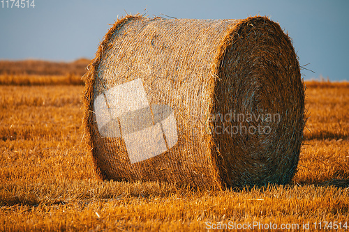 Image of harvested field with straw bales in summer