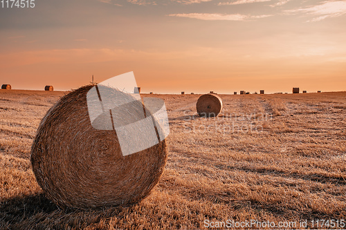 Image of harvested field with straw bales in summer