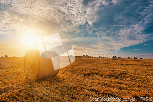 Image of harvested field with straw bales in summer