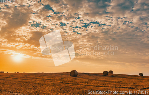 Image of harvested field with straw bales in summer