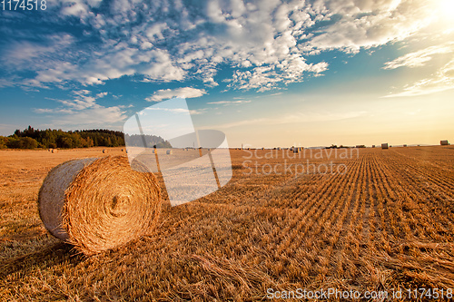 Image of harvested field with straw bales in summer