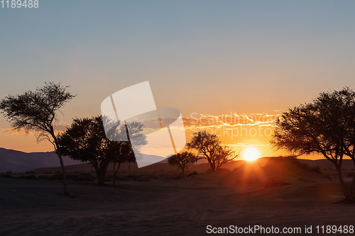 Image of sunrise landscape Hidden Vlei in Namibia, Africa