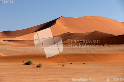 Image of beautiful landscape Hidden Vlei in Namibia Africa