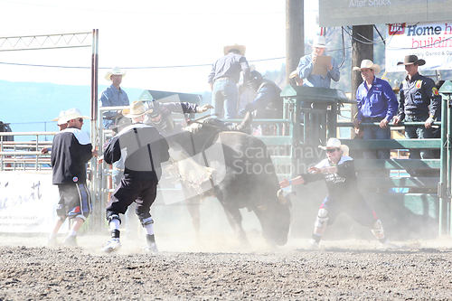 Image of Ty Pozzobon Invitational PBR