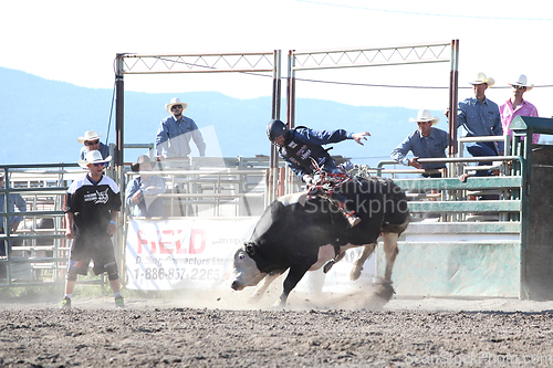 Image of Ty Pozzobon Invitational PBR