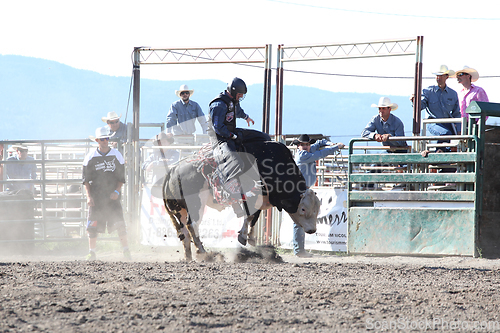 Image of Ty Pozzobon Invitational PBR