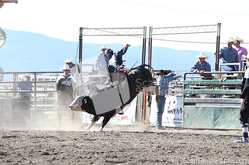 Image of Ty Pozzobon Invitational PBR