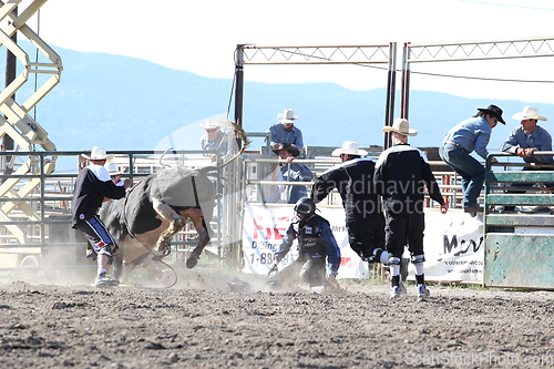 Image of Ty Pozzobon Invitational PBR