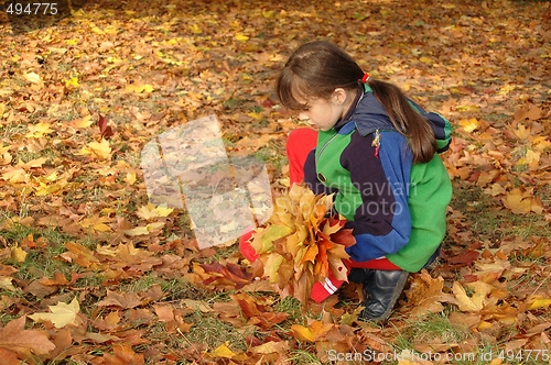 Image of Fall