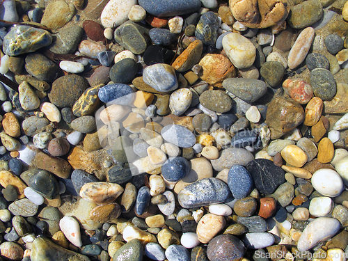 Image of Wet different sea pebbles on the beach