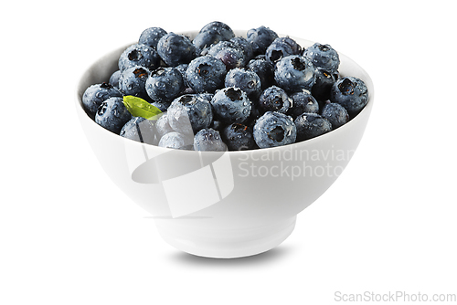 Image of Blueberry