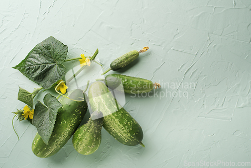 Image of Cucumber