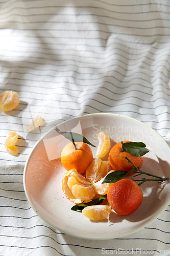 Image of still life with mandarins on plate over drapery