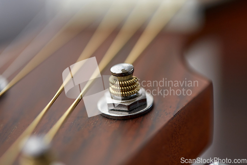 Image of close up of acoustic guitar head with pegs