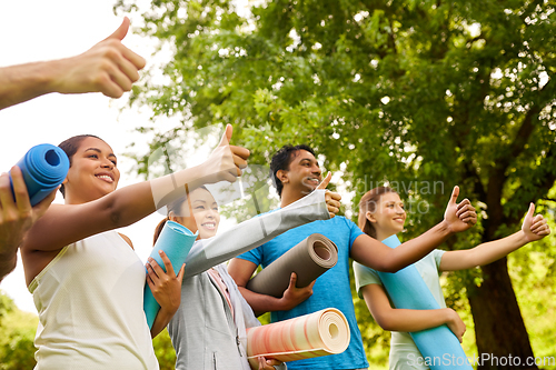Image of group of happy people with yoga mats at park