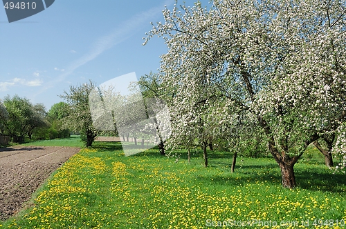 Image of Spring