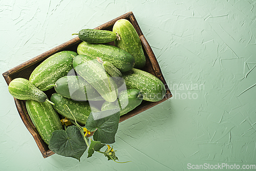 Image of Cucumber