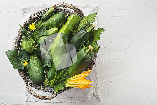 Image of Vegetable crops zucchini cucumber