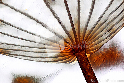Image of palm leaf